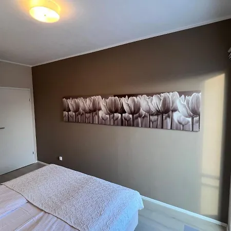 Apartament House *