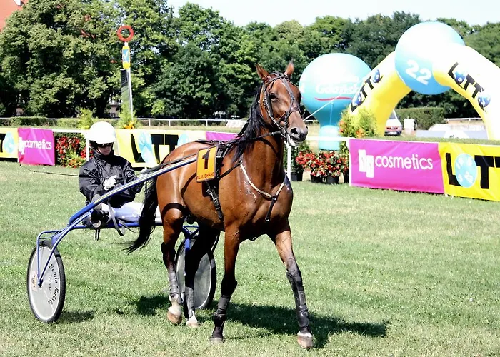 House アパート ソポト