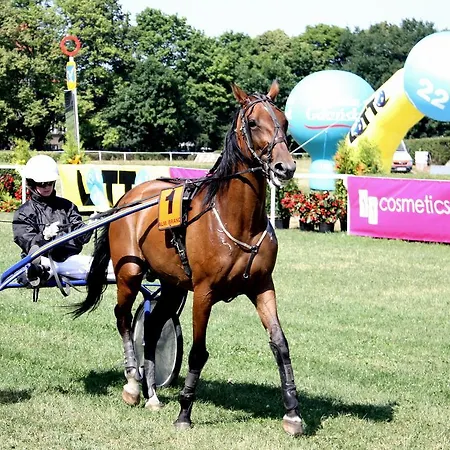 House דירה סופוט